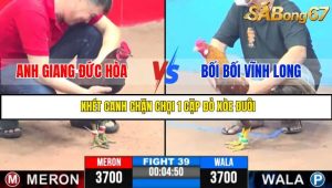 TRẬN 39 CPC3 18/05/2025 : ANH GIANG ĐỨC HÒA VS BỐI BỐI VĨNH LONG