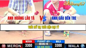 TRẬN 43 CPC3 18/05/2025 : ANH HOÀNG LÃO TÀ VS ANH GẤU BẾN TRE