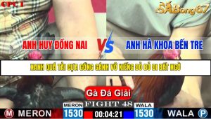 TRẬN 48 C1 26/05/2025