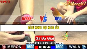 TRẬN 49 C1 26/05/2025