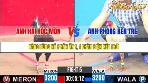 TRẬN 5 C3 26/05/2025