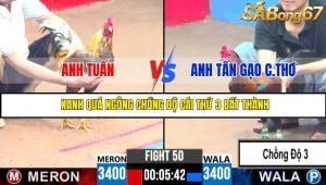 TRẬN 50 CPC3 18/05/2025 : ANH TUẤN VS ANH TẤN GẠO CẦN THƠ