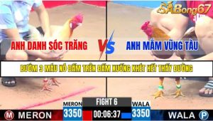 TRẬN 6 C3 26/05/2025