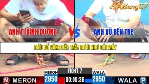 TRẬN 7 CPC3 19/05/2025 : ANH TI BÌNH DƯƠNG VS ANH VŨ BẾN TRE