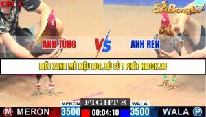 TRẬN 8 C1 26/05/2025