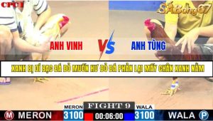 TRẬN 9 C1 20/05/2025