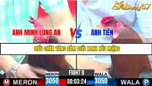TRẬN 9 C3 20/05/2025
