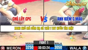 TRẬN 1 C3 25/05/2025