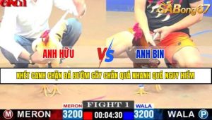 TRẬN 1 CPC1 6/5/2025