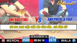 TRẬN 1 CPC2 4/5/2025