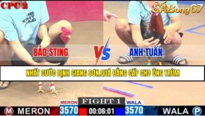TRẬN 1 CPC2 9/5/2025