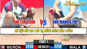 TRẬN 1 CPC3 10/5/2025
