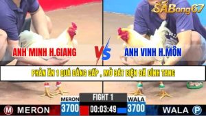 TRẬN 1 CPC3 11/5/2025