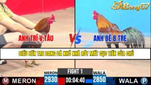 TRẬN 1 CPC3 13/5/2025