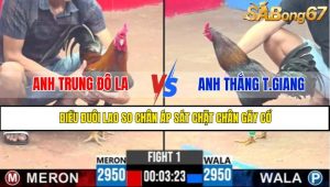 TRẬN 1 CPC3 2/5/2025