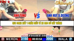 TRẬN 10 C2 16/5/2025