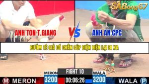 TRẬN 10 C3 18/5/2025