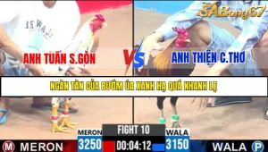 TRẬN 10 C3 22/05/2025