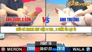 TRẬN 10 C3 28/05/2025