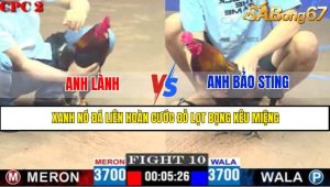TRẬN 10 CPC2 4/5/2025