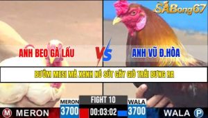 TRẬN 10 CPC3 10/5/2025