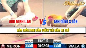 TRẬN 10 CPC3 13/5/2025