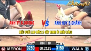 TRẬN 10 CPC3 5/5/2025