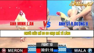 TRẬN 10 CPC3 6/5/2025