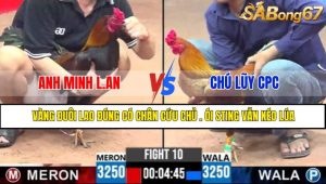 TRẬN 10 CPC3 7/5/2025