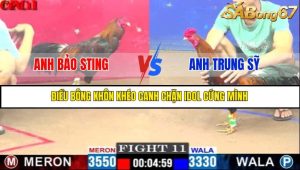 TRẬN 11 C1 15/5/2025