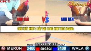 TRẬN 11 C1 29/05/2025