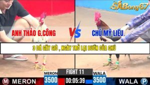 TRẬN 11 C3 18/5/2025