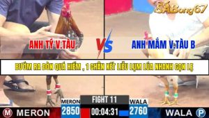 TRẬN 11 C3 21/05/2025
