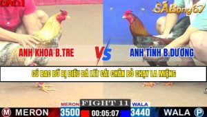 TRẬN 11 CPC1 10/5/2025