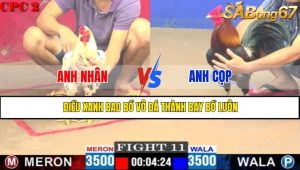 TRẬN 11 CPC2 11/5/2025