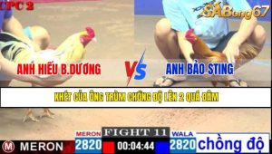 TRẬN 11 CPC2 4/5/2025