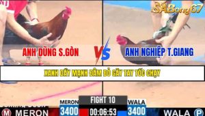 TRẬN 11 CPC3 1/5/2025