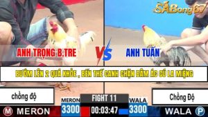 TRẬN 11 CPC3 10/5/2025