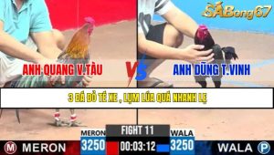 TRẬN 11 CPC3 12/5/2025
