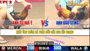 TRẬN 11 CPC3 9/5/2025