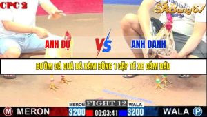 TRẬN 12 C2 21/05/2025