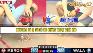TRẬN 12 C2 28/05/2025