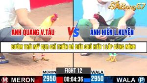 TRẬN 12 C3 18/5/2025