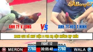 TRẬN 12 C3 26/05/2025