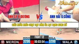 TRẬN 12 C3 31/5/2025
