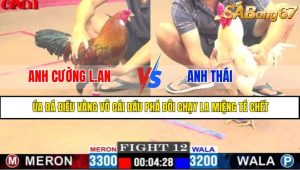 TRẬN 12 CPC1 6/5/2025