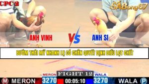 TRẬN 12 CPC2 11/5/2025