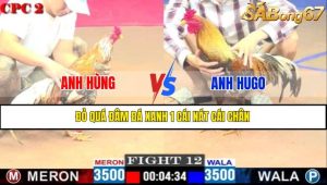 TRẬN 12 CPC2 14/5/2025