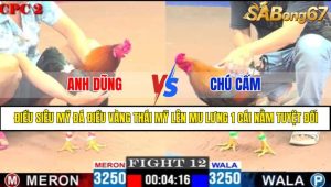 TRẬN 12 CPC2 2/5/2025