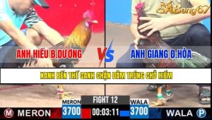 TRẬN 12 CPC3 11/5/2025